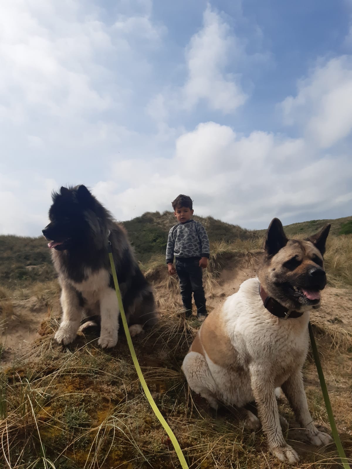 Twee honden met kind in de duinen